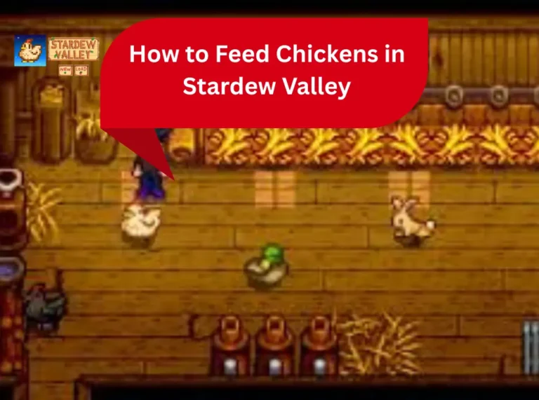 How to Feed Chickens in Stardew Valley