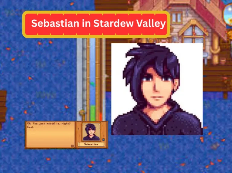 Sebastian Stardew Valley