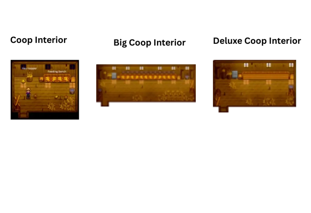 Stardew Valley Coops interioer